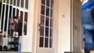 oh shit oh rat meme clip dancing in-front of rat flexing on rat