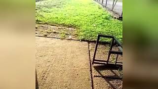 Best dancer ever. Afro – Krump dance by Twist