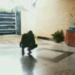 FIND YOU|EMA MEZA| DUBSTEP &POPPING DANCE|PARAGUAY
