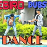FIREBIRD DUBSTEP DANCE – VEEREY TEKAM, AASHIS WALKEY & YOGESH TEKAM, RAM YADAV | POPPIN JOHN |