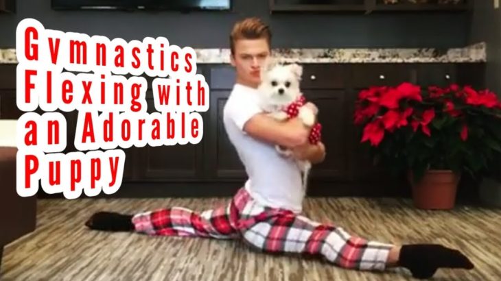 Gymnastics Flexing with an Adorable Puppy