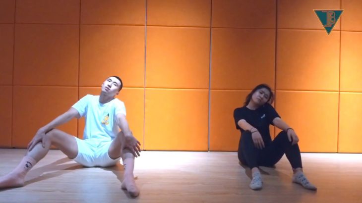 Vogue _ Dramatics _ FORMATION | Ken Choreography | VIBE ART DANCE CENTRE