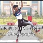 Waou Waou (TP2) Dubstep Mix | Dance Choreography | M.D Moshim | Vivek Dance institute