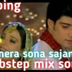 popping // mera sona sajan // dubstep robotic mix song by L.R.dance remix