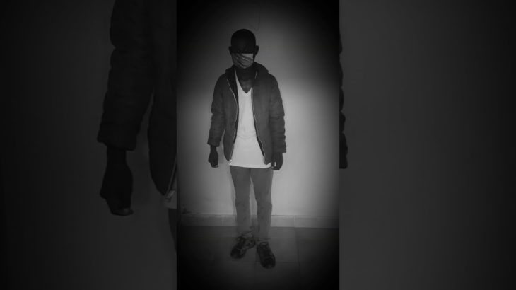 Charles dubstep dance edit ants