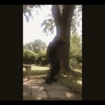 Dubstep Dance – Es Rasta