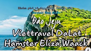 Hamster Crew Eliza Waack | Viettravel Dalat | Don’t know what to do | cover