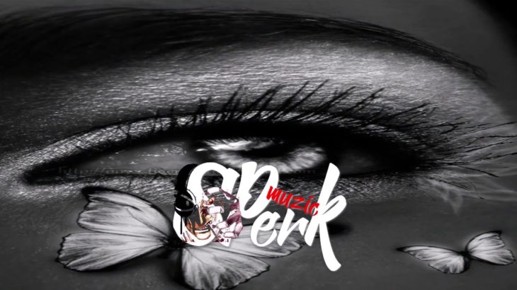 SPERK X I DON T WANNA DANCE – REGGAE RMX – [ 4 UR.NEA ]