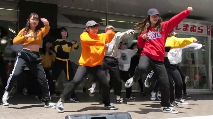 鎌倉女子大学ダンス部／大船まつり2019