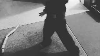 5 year old dj mindcraft flexing his dance moves