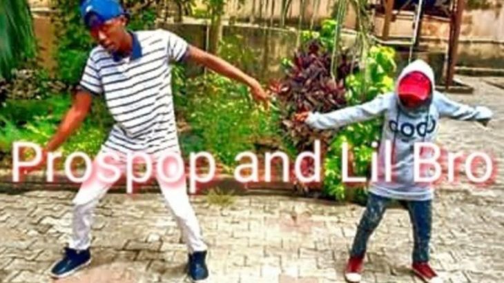 Dubstep Dance with Little Brother