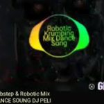 Dubstep & Robotic Mix 

DANCE SOUNG DJ PELI