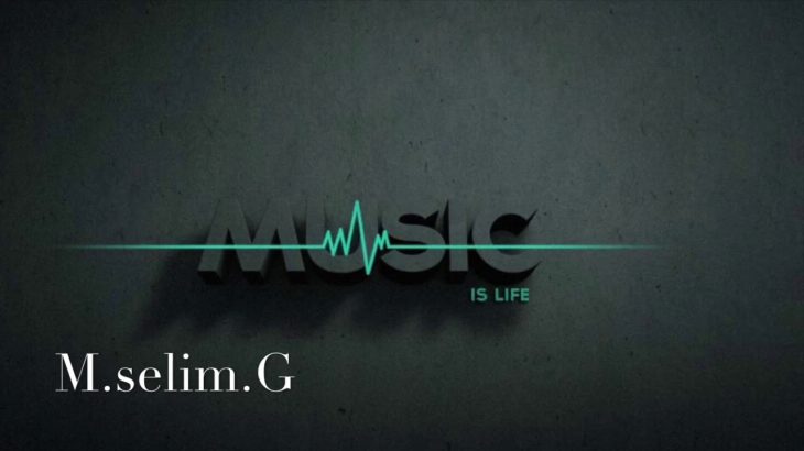 MselimG    Bass Music , Dubstep Music , Car Music , Vol 2 (Araba Müzikleri) Dance . GarageBand