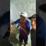 REGGAE DO MARANHÃO REGGAE 2019
