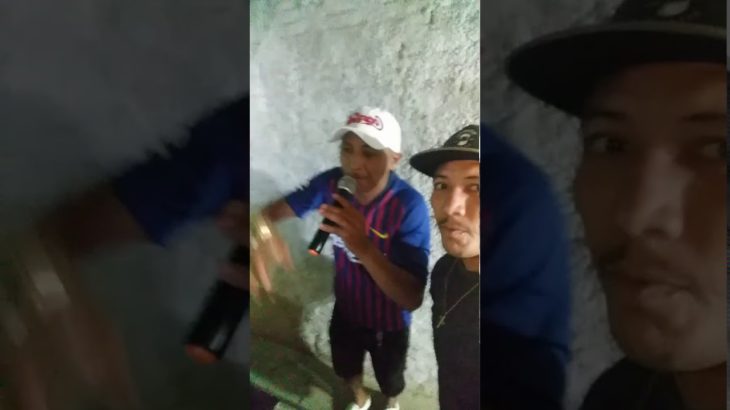 REGGAE DO MARANHÃO REGGAE 2019