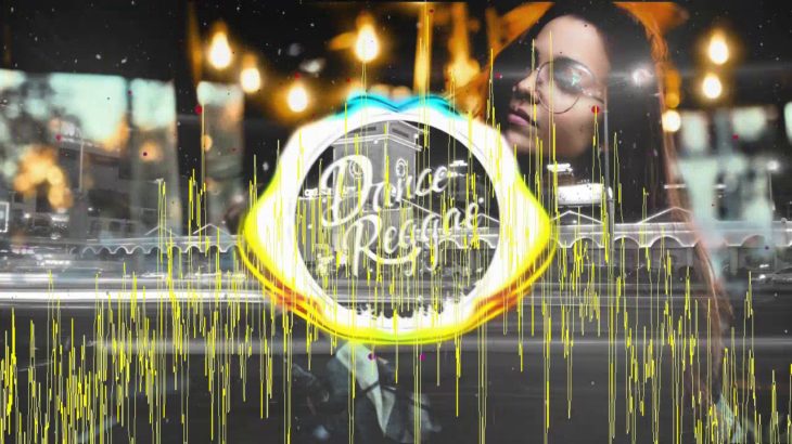 Reggae Remix 2019 – Alan Walker – The Spectre (Lucas Park & Carlos Producer)