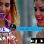 Reggae Videos Mixes Dj Danny