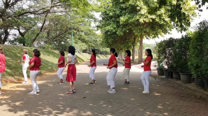 To Love Somebody (Reggae) – Line Dance – Chor Nuri Rindjani SG d’ ULD Sby Jatim (INA Oct 2018)