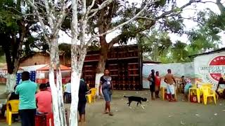REGGAE NO MARANHÃO 2019