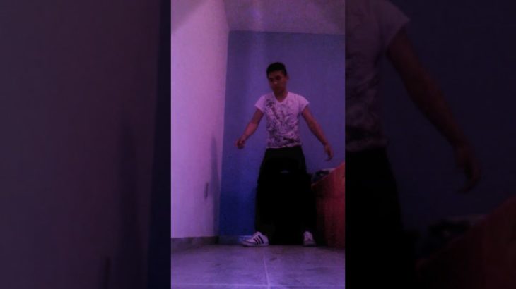 THE BA®BI DST (DUBSTEP DANCE)