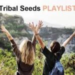 [Tribal Seeds] [Playlist 3] reggae music