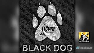 Ásum | Black Dog [Dance / Dubstep]