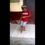 Dougie – Tanjung Balai – Dance Pump Patembo MarkasSemut – [SnakeCobra]