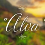 [FREE] “Aloa” – Reggae Type Beat X Dance Hall Type (prod. by MostMixx)