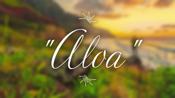 [FREE] “Aloa” – Reggae Type Beat X Dance Hall Type (prod. by MostMixx)