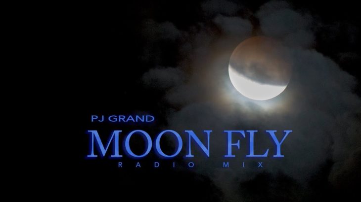 MOON FLY( Radio Mix) Dubstep Electronic Dance Music by PJ Grand