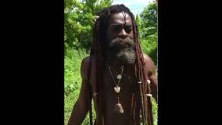 Reggae dance and sing RappaRastaTours 3281