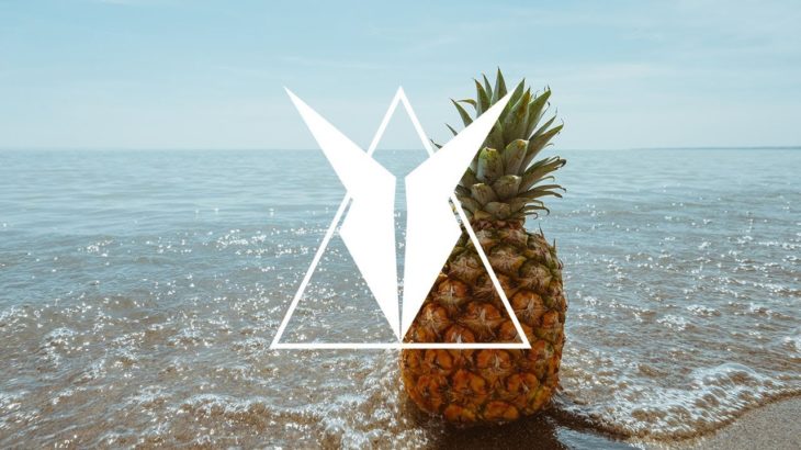 SUMMER DANCE MUSIC (Future House, Dubstep, Trap, Chill) | Lost Sky – Where We Started (feat. Jex)