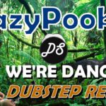We’re Dancing REMIX – (Dubstep Remix)