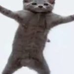 teach me how to dougie cat (10 hours)