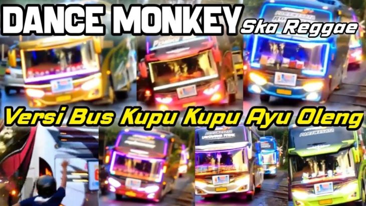 DANCE MONKAY [SKA REGGAE] VERSI BUS PARIWISATA YG VIRAL || KUPU KUPU AYU OLENG DIPERLINTASAN KERETA