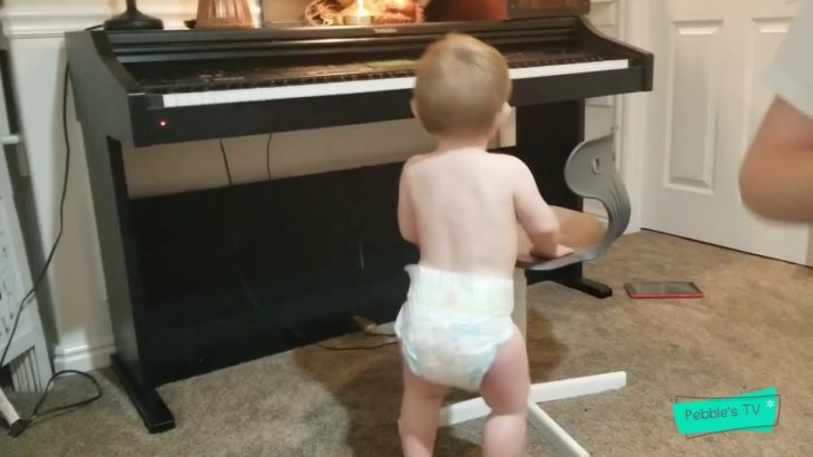 Dubstep Dancing Little Pebbles