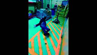 DubstepDance