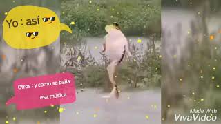 Dubstep#dancing frog#brutal drop