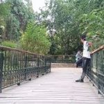 Lost Sky – Vision | DUBSTEP | Fes City