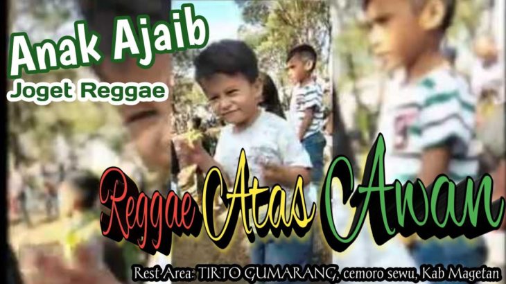 Mauza Dance Reggae || Cemoro Sewu Magetan | East Java Indonesia | reggae event over the clouds