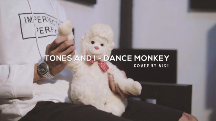 Tones And I – Dance Monkey Reggae EDM Cover by Aldiyot