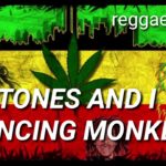 Tones & I (Dancing Monkey) – reggae cong