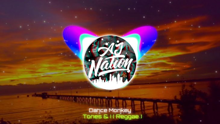 Tones and I – Dance Monkey ( Reggae Mix )