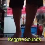 Ang PangaraL Reggae Dance