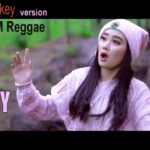 DANCE MONKEY EDM REGGAE Version | ( COVER ) SANTUY