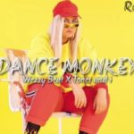 DANCE MONKEY REGGAE REMIX SWILLSAS GANK (WEZZY BEAT)2020 New