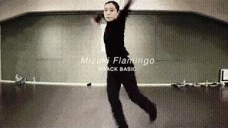 【 DANCEWORKS】Mizuki Flamingo / WAACK BASIC