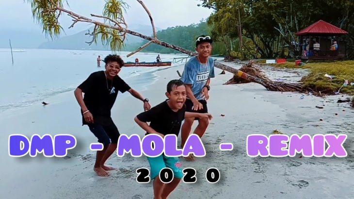 Dance Lagu Acara Reggae Terbaru 2020 || DMP – MOLA – REMIX || KOKVS GVNG FAMILY