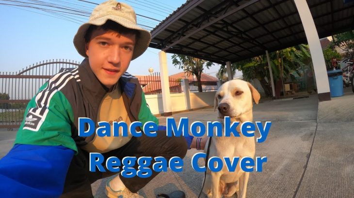 Dance Monkey | Tones And I (Reggae Cover) #DanceRoomie
