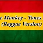 Dance Monkey – Tones And I (Reggae Version + Lyrics)